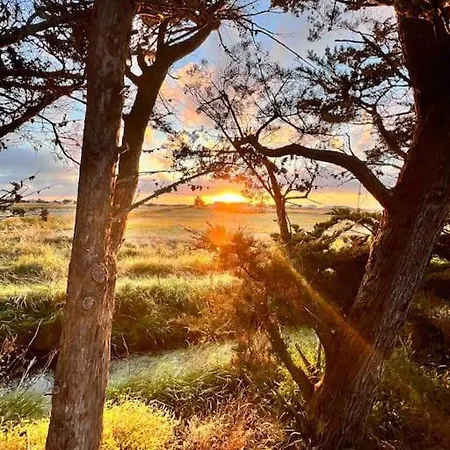 Maison De Charme Au Coeur Du Marais Breton Vendéen * Bouin (Vendee)