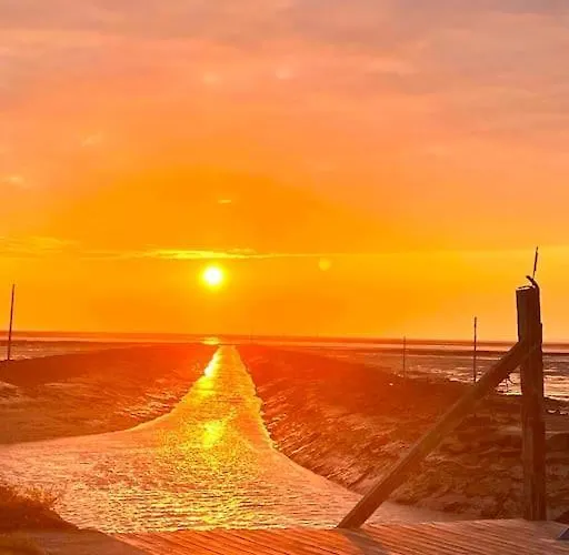 Maison De Charme Au Coeur Du Marais Breton Vendeen * Bouin (Vendee)