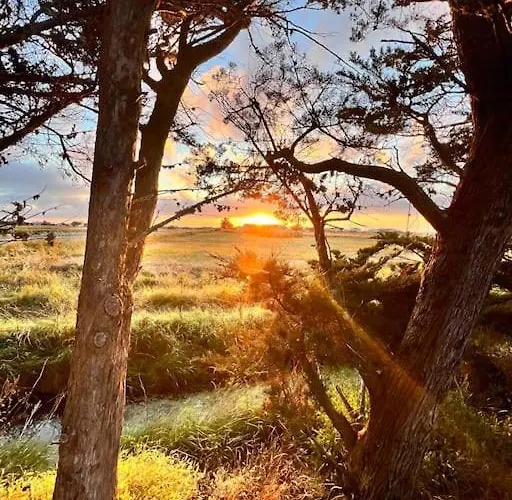Maison De Charme Au Coeur Du Marais Breton Vendeen * Bouin (Vendee)